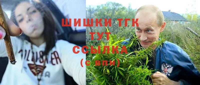 Бошки Шишки сатива  Бирюч 